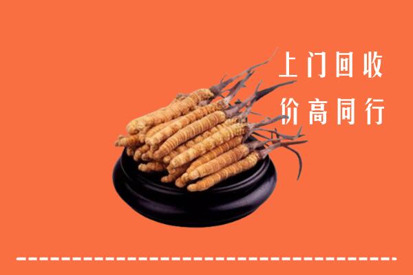 收购行情：合肥市长丰回收散虫草